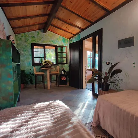 Séjour chez l'habitant Estudio Wabi-sabi Santa Brígida