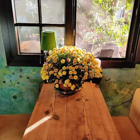 Séjour chez l'habitant Estudio Wabi-sabi