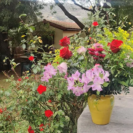 Estudio Wabi-sabi Séjour chez l'habitant *