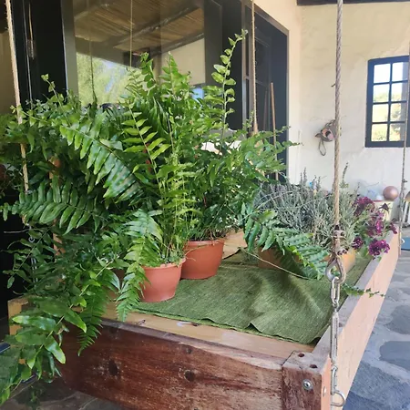 Estudio Wabi-sabi Habitación en casa particular *