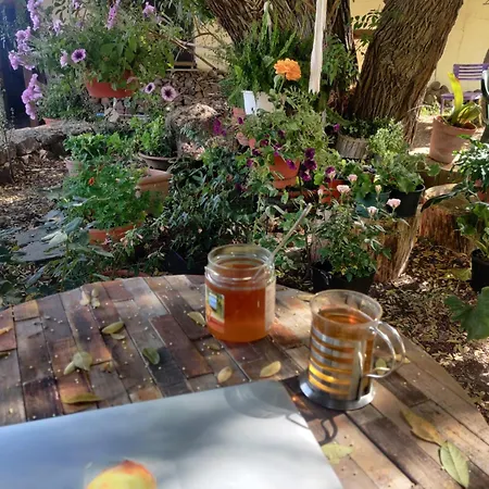 Séjour chez l'habitant Estudio Wabi-sabi *