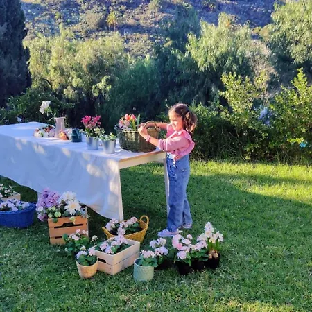 Estudio Wabi-sabi * Santa Brígida