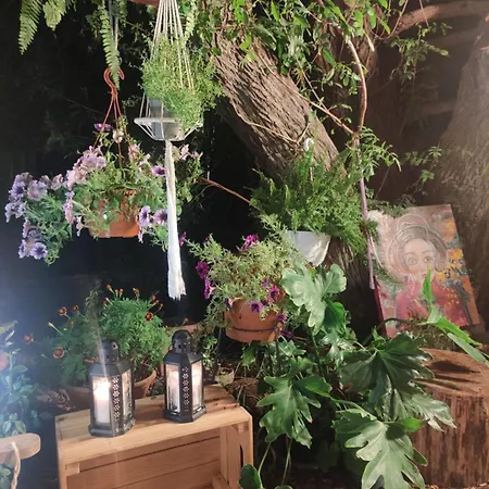 Estudio Wabi-sabi Ubytování v soukromí Santa Brígida