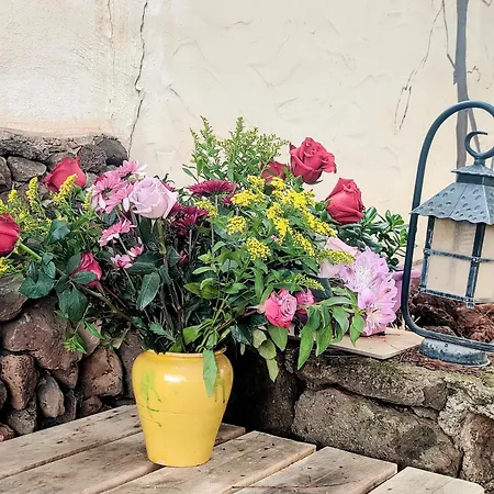 Estudio Wabi-sabi Séjour chez l'habitant