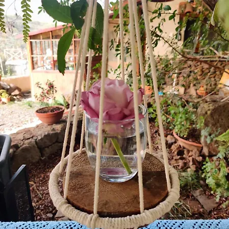 Estudio Wabi-sabi